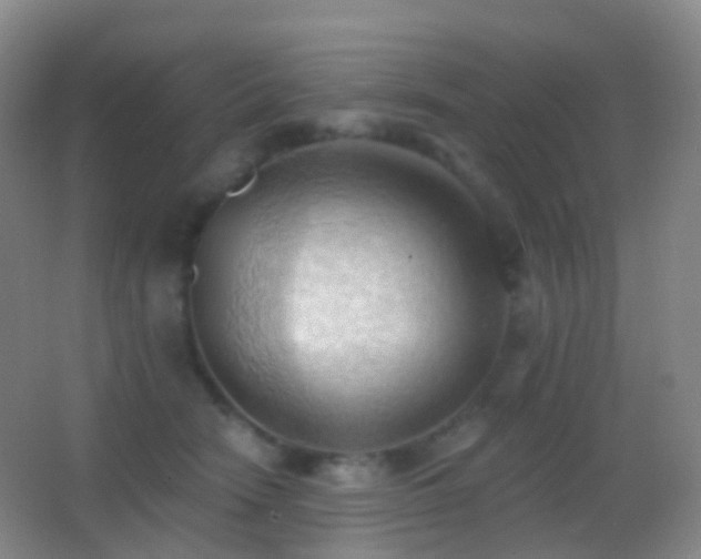 X0000062890466200601131339