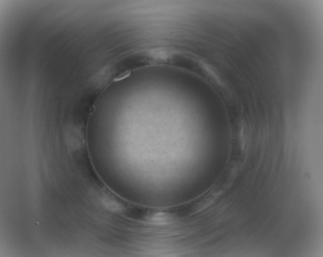 X0000062890467200601131339