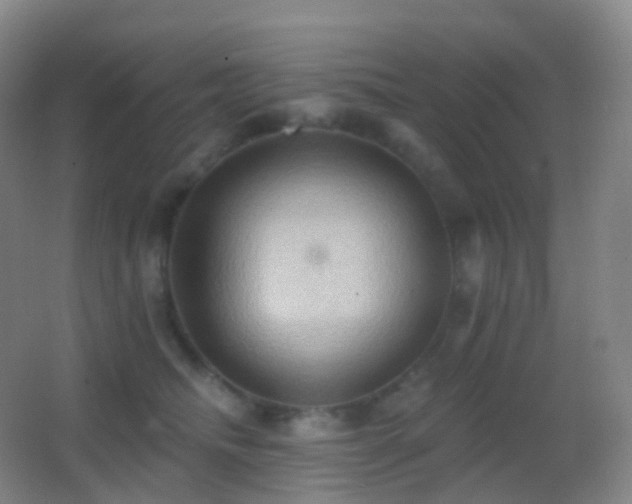 X0000062890468200601131339