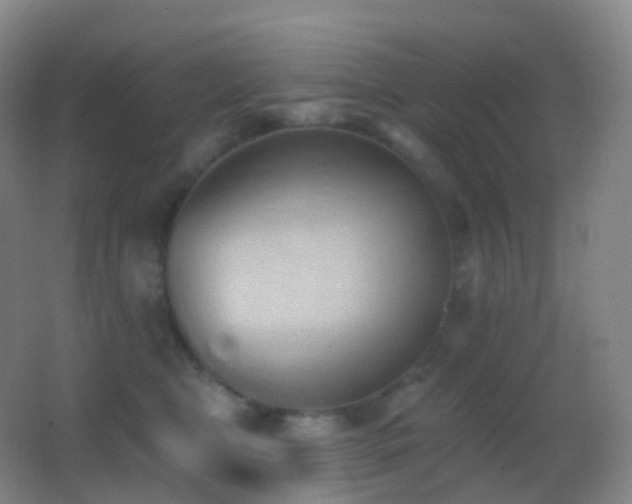 X0000062890469200601131339