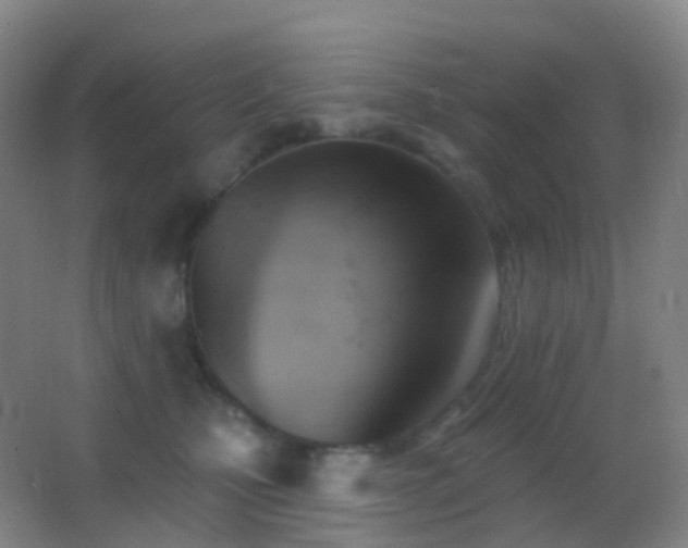 X0000062890471200601131339