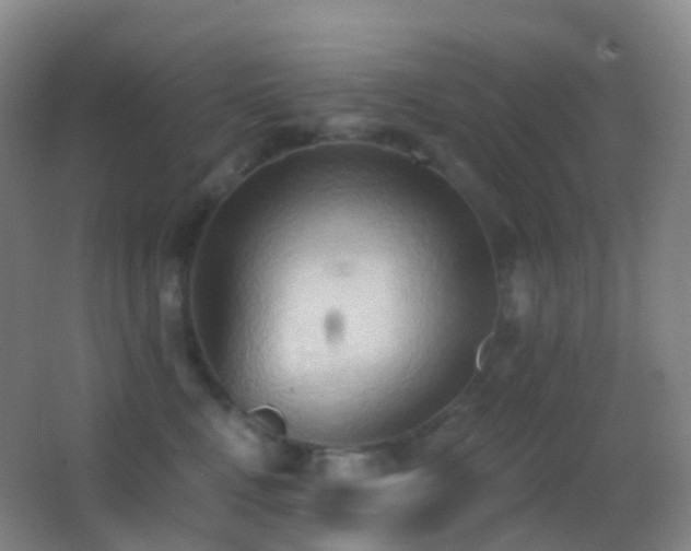 X0000062890472200601131339