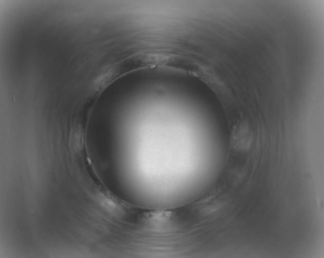 X0000062890474200601131339