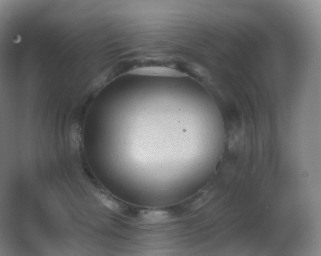 X0000062890476200601131339