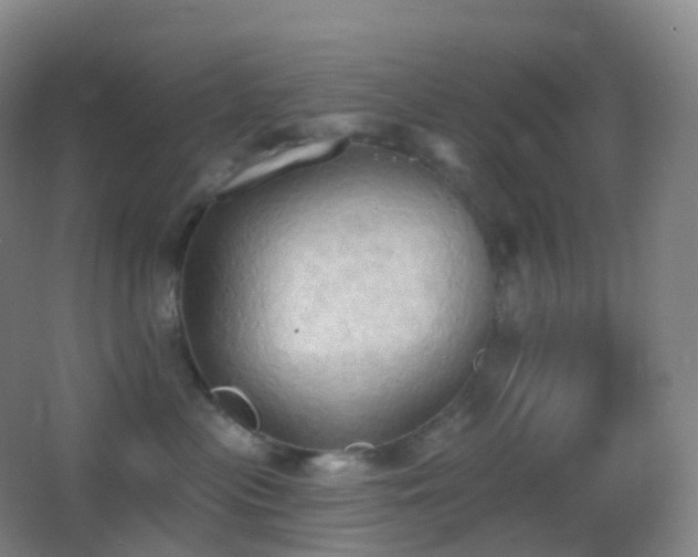 X0000062890477200601131339