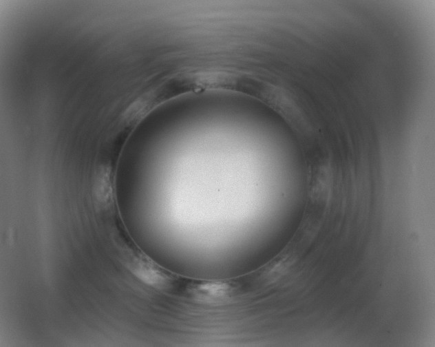 X0000062890478200601131339