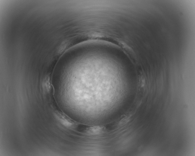 X0000062890479200601131339