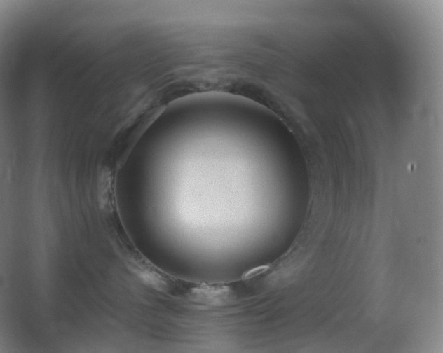 X0000062890480200601131339