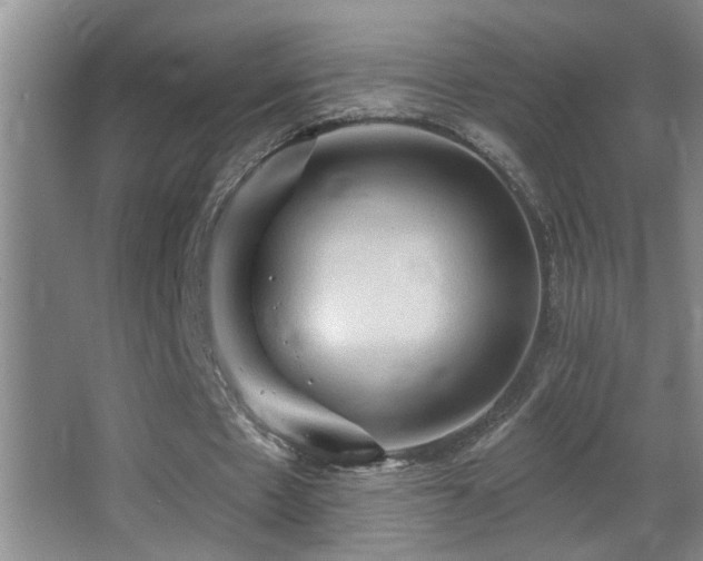 X0000062890481200601131338