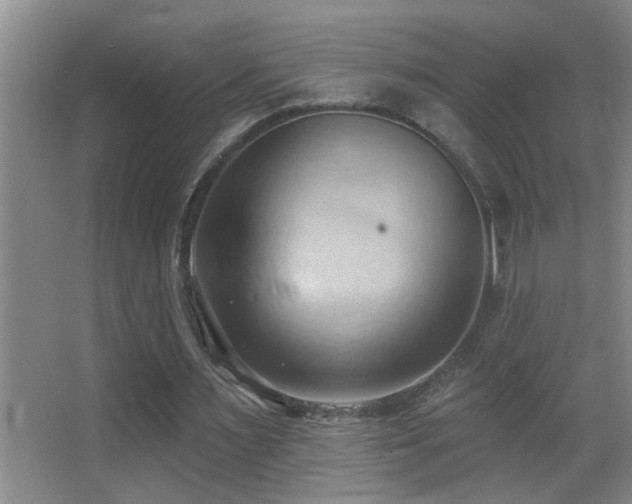 X0000062890483200601131338