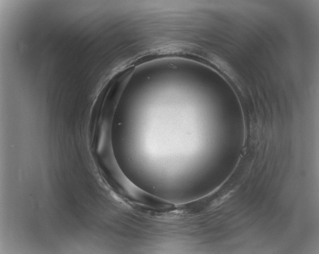 X0000062890485200601131338