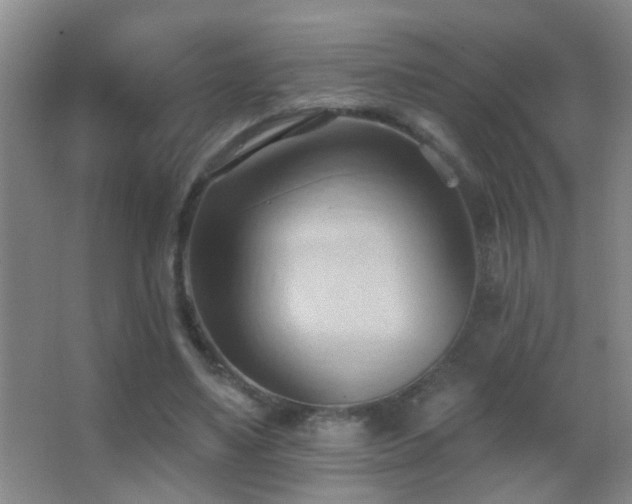 X0000062890491200601131338