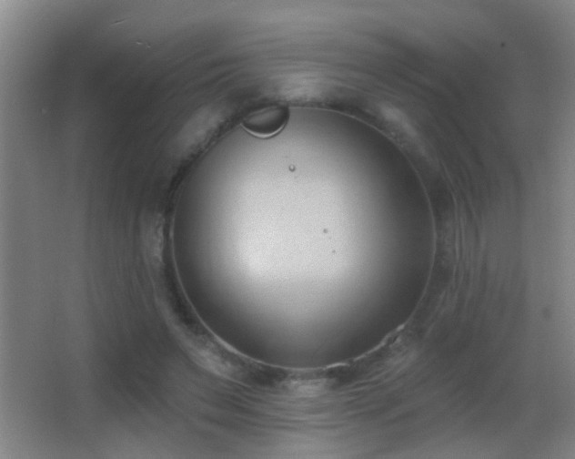 X0000062890495200601131338