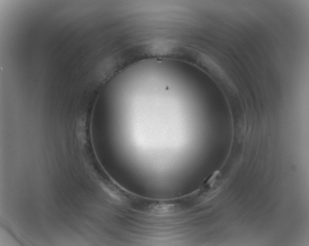 X0000062890497200601131338