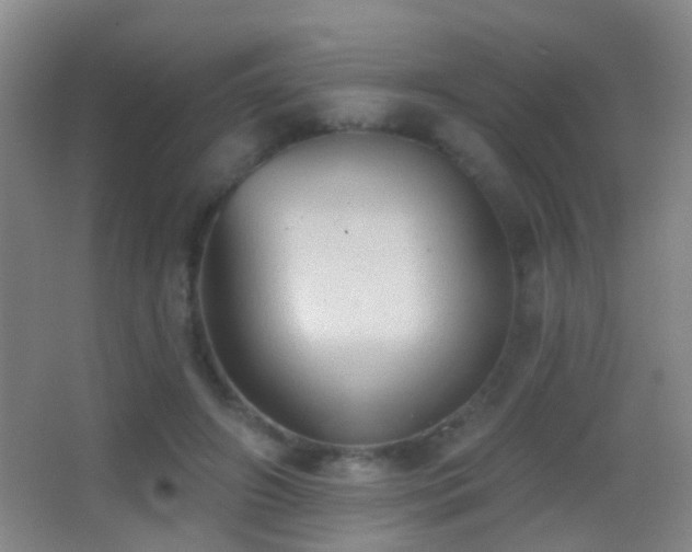 X0000062890498200601131338