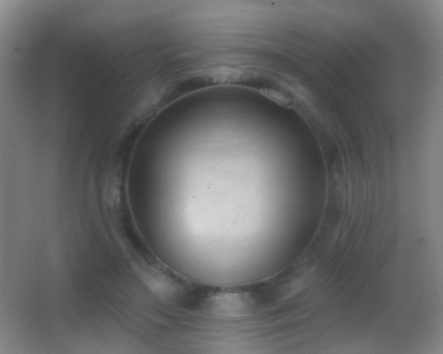 X0000062890499200601131338