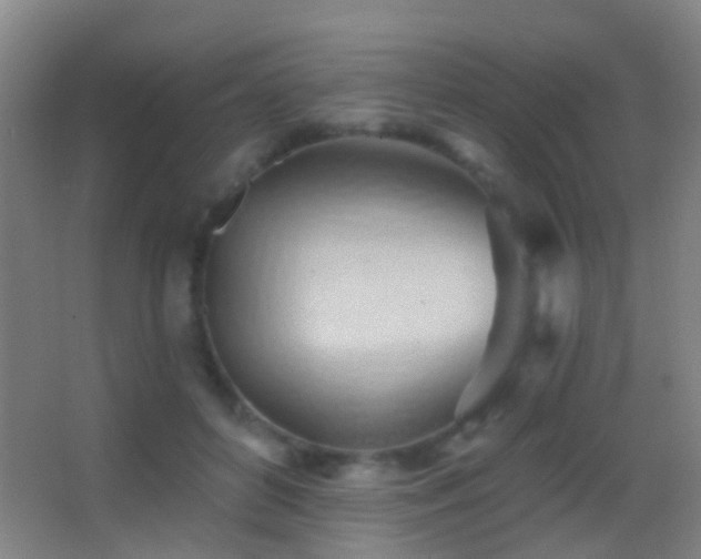 X0000062890504200601131338