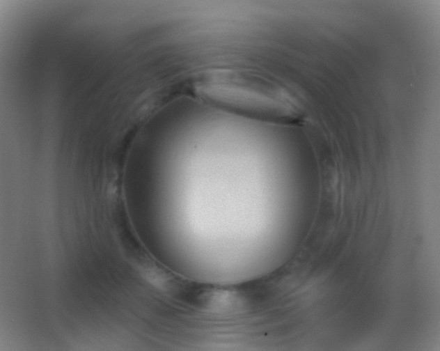 X0000062890507200601131338