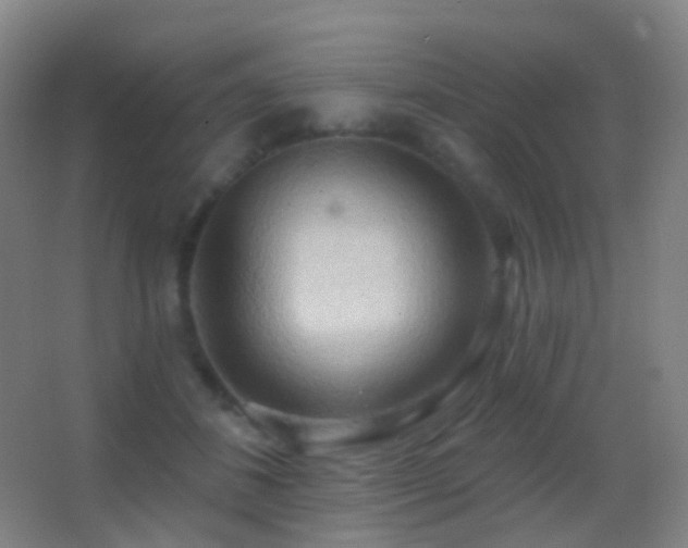 X0000062890508200601131338