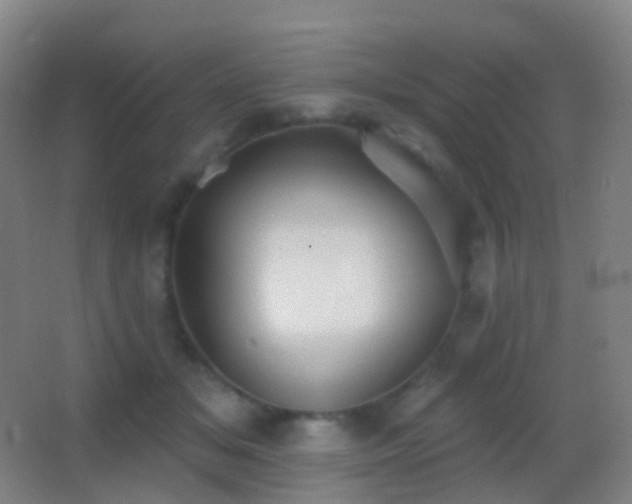 X0000062890509200601131338