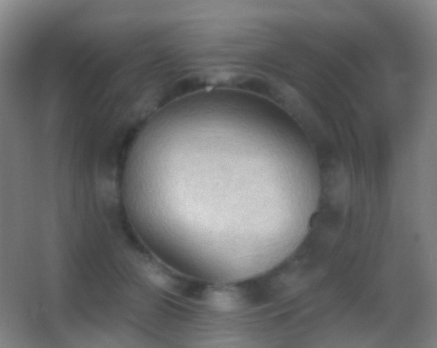 X0000062890510200601131338