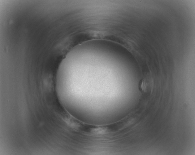 X0000062890511200601131338