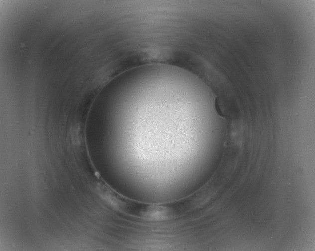 X0000062890514200601131338