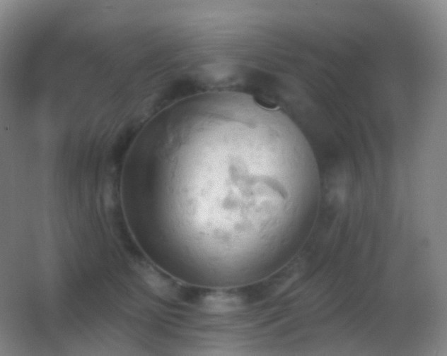 X0000062890515200601131338