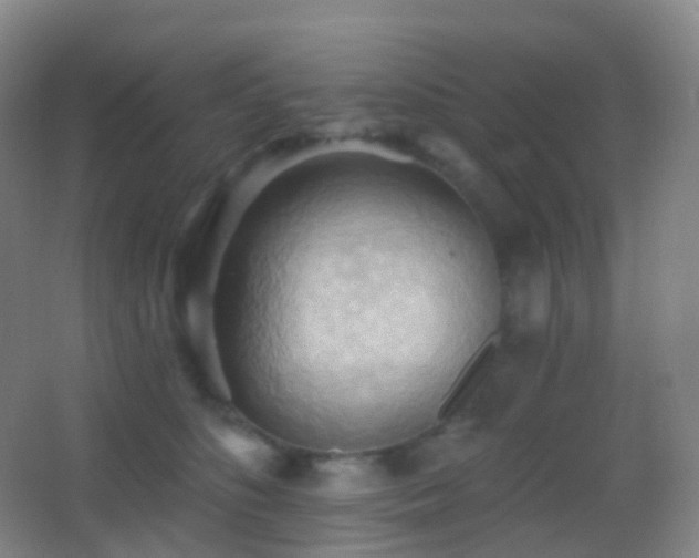 X0000062890516200601131338