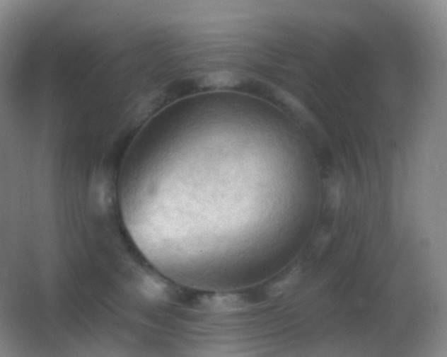 X0000062890517200601131338