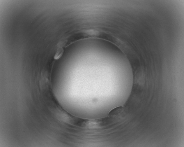 X0000062890518200601131338