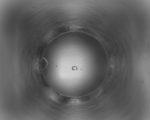 X0000062890519200601131338