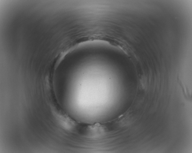 X0000062890520200601131338