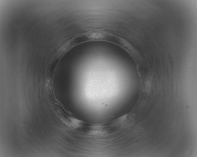 X0000062890521200601131338