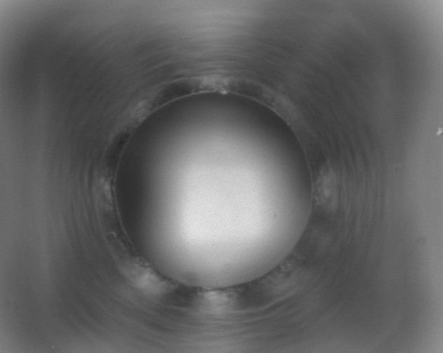 X0000062890522200601131338