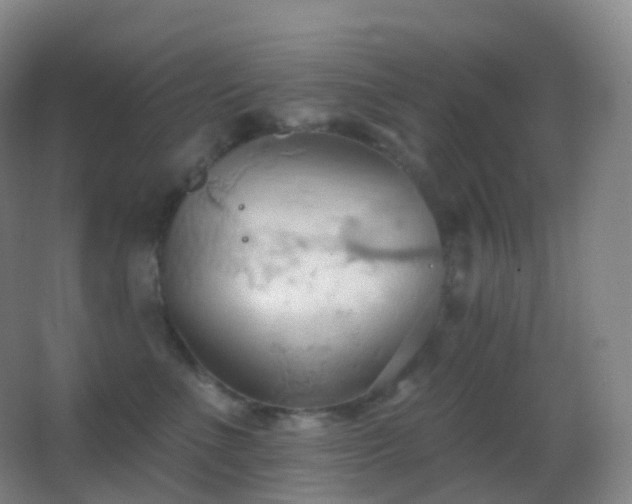 X0000062890523200601131338