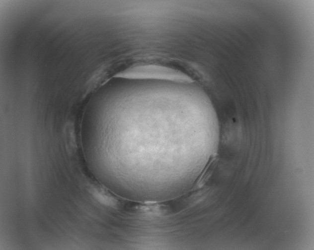 X0000062890524200601131338