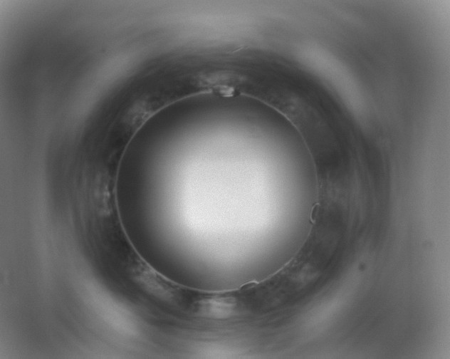 X0000062890525200601131338