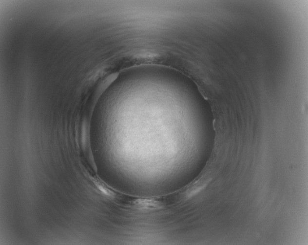 X0000062890528200601131337