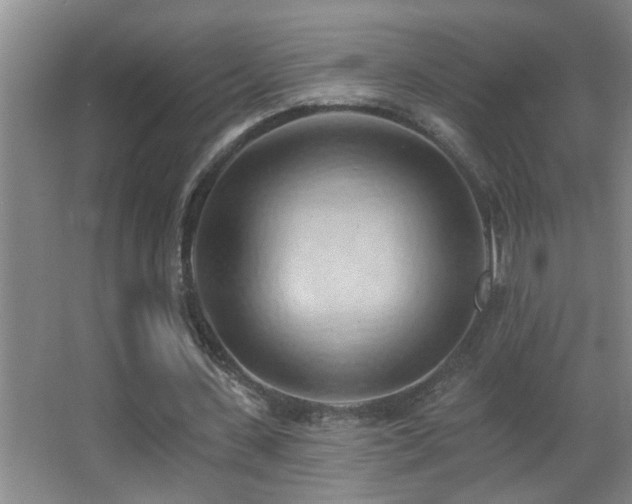 X0000062890531200601131337