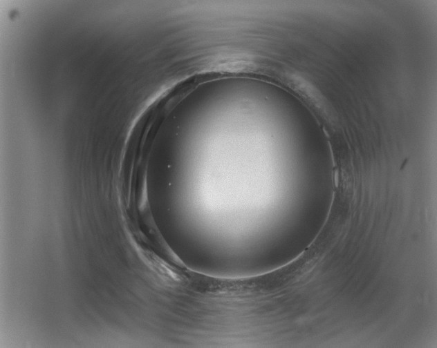 X0000062890532200601131337