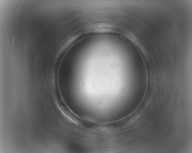 X0000062890533200601131337