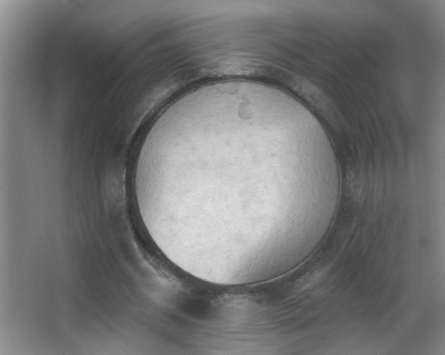 X0000062890534200601131337