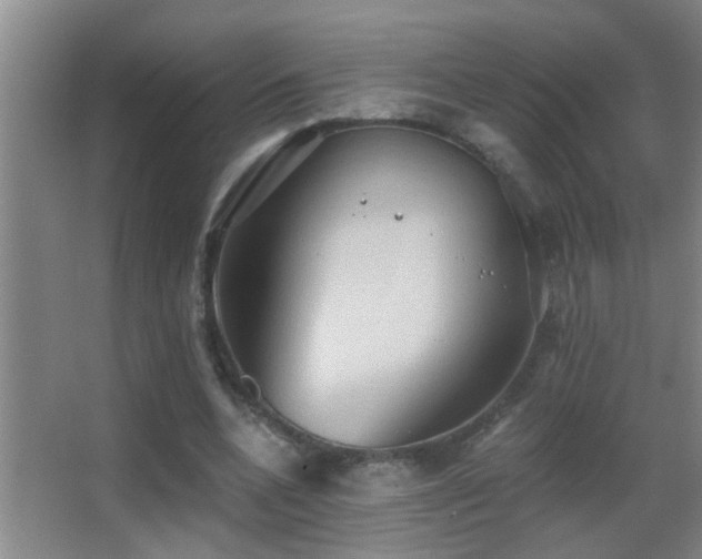 X0000062890536200601131337