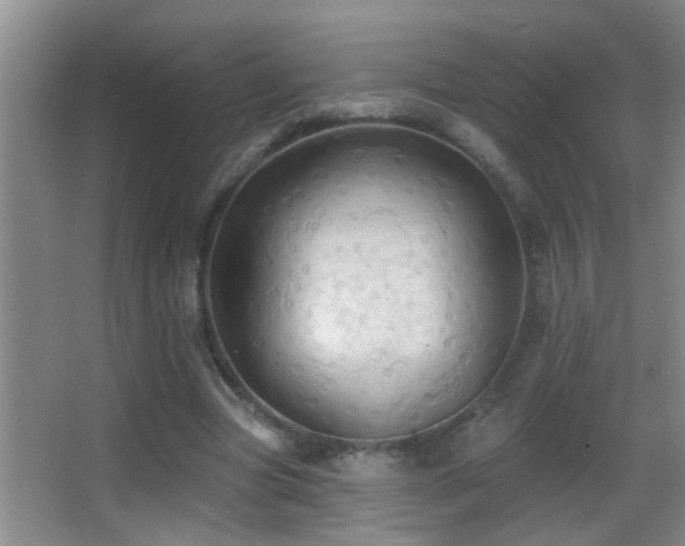 X0000062890537200601131337