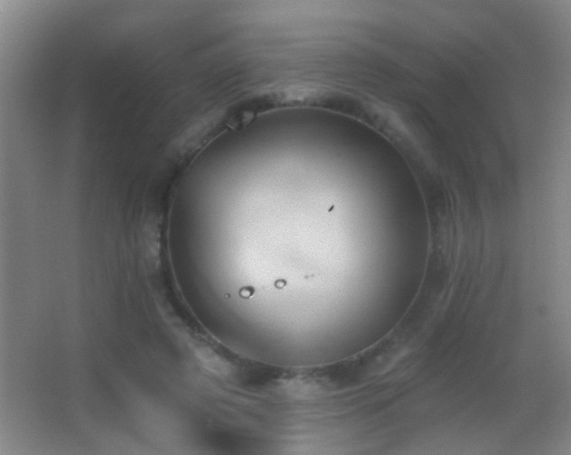 X0000062890545200601131337