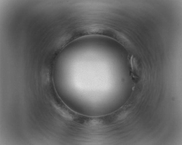 X0000062890546200601131337