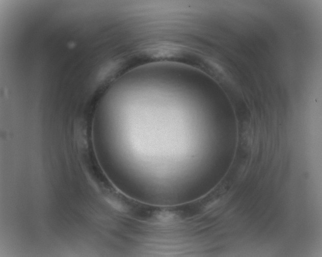 X0000062890547200601131337