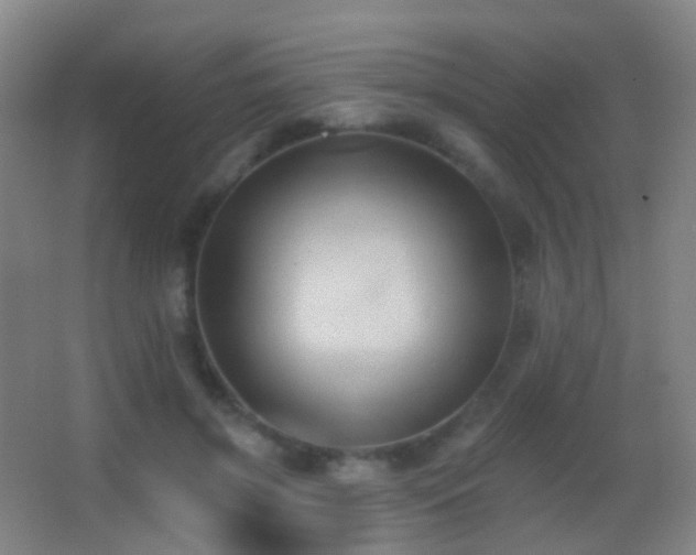 X0000062890549200601131337