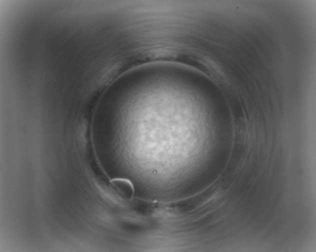 X0000062890550200601131337